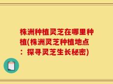 株洲种植灵芝在哪里种植(株洲灵芝种植地点：探寻灵芝生长秘密)