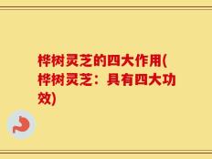 桦树灵芝的四大作用(桦树灵芝：具有四大功效)