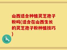山西适合种植灵芝孢子粉吗(适合在山西生长的灵芝孢子粉种植技巧)