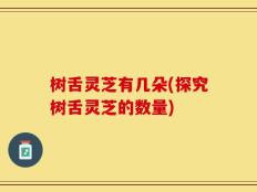 树舌灵芝有几朵(探究树舌灵芝的数量)