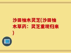 沙田柚木灵芝(沙田柚木草药：灵芝重现归来)