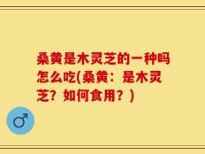 桑黄是木灵芝的一种吗怎么吃(桑黄：是木灵芝？如何食用？)