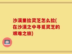 沙漠里捡灵芝怎么捡(在沙漠之中寻觅灵芝的艰难之旅)