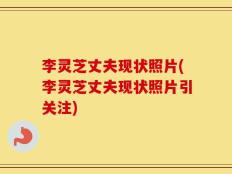 李灵芝丈夫现状照片(李灵芝丈夫现状照片引关注)
