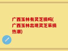 广西玉林有灵芝摘吗(广西玉林出现灵芝采摘热潮)