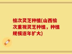 榆次灵芝种植(山西榆次重视灵芝种植，种植规模逐年扩大)