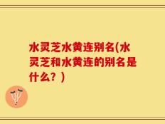 水灵芝水黄连别名(水灵芝和水黄连的别名是什么？)