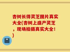 杏树长得灵芝图片真实大全(杏树上盛产灵芝，现场拍摄真实大全！)