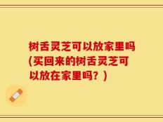 树舌灵芝可以放家里吗(买回来的树舌灵芝可以放在家里吗？)