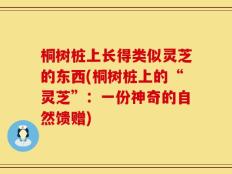 桐树桩上长得类似灵芝的东西(桐树桩上的“灵芝”：一份神奇的自然馈赠)