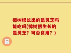 樟树根长出的是灵芝吗能吃吗(樟树根生长的是灵芝？可否食用？)