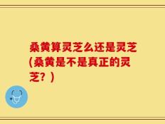 桑黄算灵芝么还是灵芝(桑黄是不是真正的灵芝？)