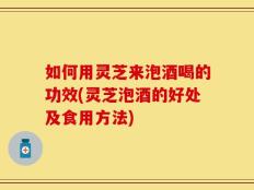 如何用灵芝来泡酒喝的功效(灵芝泡酒的好处及食用方法)