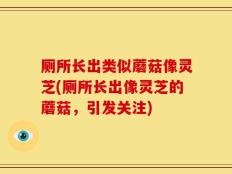 厕所长出类似蘑菇像灵芝(厕所长出像灵芝的蘑菇，引发关注)
