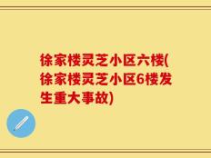 徐家楼灵芝小区六楼(徐家楼灵芝小区6楼发生重大事故)