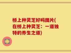 桥上种灵芝好吗图片(在桥上种灵芝：一道独特的养生之道)