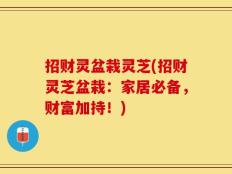 招财灵盆栽灵芝(招财灵芝盆栽：家居必备，财富加持！)