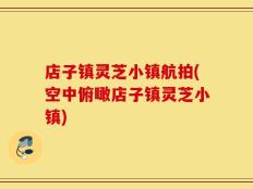 店子镇灵芝小镇航拍(空中俯瞰店子镇灵芝小镇)