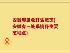 安徽哪里收野生灵芝(安徽有一处采摘野生灵芝地点)