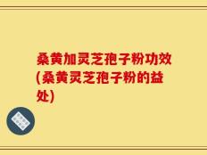 桑黄加灵芝孢子粉功效(桑黄灵芝孢子粉的益处)