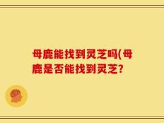 母鹿能找到灵芝吗(母鹿是否能找到灵芝？