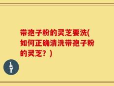 带孢子粉的灵芝要洗(如何正确清洗带孢子粉的灵芝？)