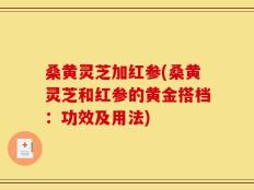 桑黄灵芝加红参(桑黄灵芝和红参的黄金搭档：功效及用法)
