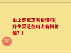 山上野灵芝有价值吗(野生灵芝在山上有何价值？)