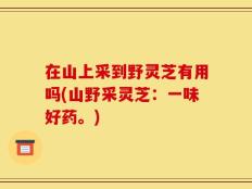 在山上采到野灵芝有用吗(山野采灵芝：一味好药。)