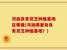 河南良育灵芝种植基地在哪里(河南哪里有良育灵芝种植基地？)
