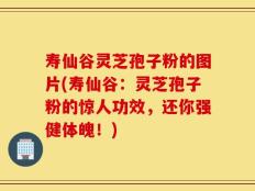 寿仙谷灵芝孢子粉的图片(寿仙谷：灵芝孢子粉的惊人功效，还你强健体魄！)