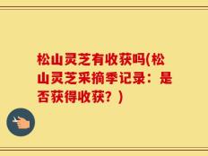 松山灵芝有收获吗(松山灵芝采摘季记录：是否获得收获？)