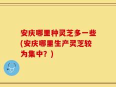 安庆哪里种灵芝多一些(安庆哪里生产灵芝较为集中？)