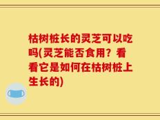 枯树桩长的灵芝可以吃吗(灵芝能否食用？看看它是如何在枯树桩上生长的)