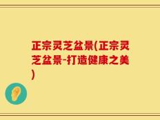 正宗灵芝盆景(正宗灵芝盆景-打造健康之美)