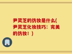 尹灵芝的仿妆是什么(尹灵芝化妆技巧：完美的仿妆！)