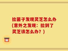 捡菌子发现灵芝怎么办(意外之发现：捡到了灵芝该怎么办？)