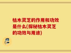 枯木灵芝的作用和功效是什么(探秘枯木灵芝的功效与用途)