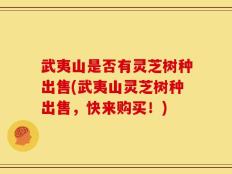 武夷山是否有灵芝树种出售(武夷山灵芝树种出售，快来购买！)