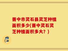 晋中市灵石县灵芝种植面积多少(晋中灵石灵芝种植面积多大？)