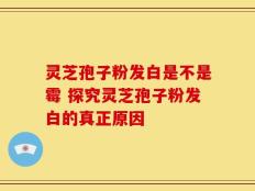 灵芝孢子粉发白是不是霉 探究灵芝孢子粉发白的真正原因