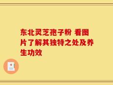 东北灵芝孢子粉 看图片了解其独特之处及养生功效