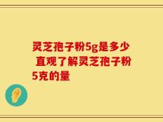 灵芝孢子粉5g是多少 直观了解灵芝孢子粉5克的量