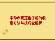 家种赤灵芝孢子粉的收集方法与技巧全解析