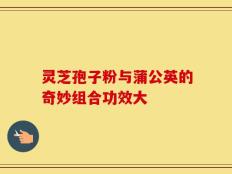 灵芝孢子粉与蒲公英的奇妙组合功效大