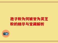 孢子粉为何被誉为灵芝粉的精华与宝藏解析
