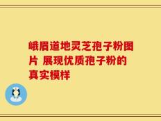 峨眉道地灵芝孢子粉图片 展现优质孢子粉的真实模样