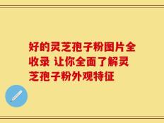 好的灵芝孢子粉图片全收录 让你全面了解灵芝孢子粉外观特征