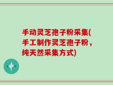 手动灵芝孢子粉采集(手工制作灵芝孢子粉，纯天然采集方式)