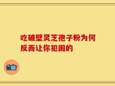 吃破壁灵芝孢子粉为何反而让你犯困的